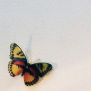 Meet your Posher, Destiny